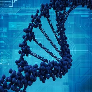The epigenome can turn genes in DNA on or off. (iStockphoto: cosmin4000 )